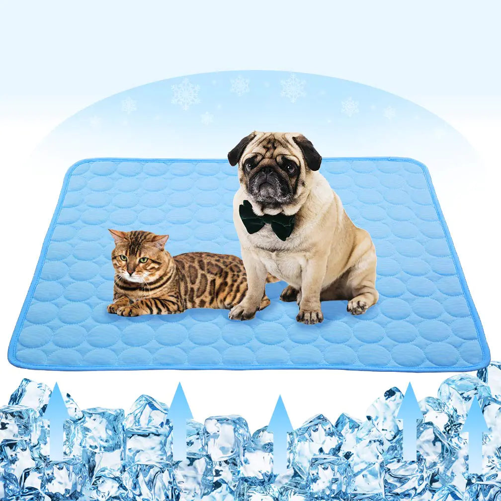 Summer Cooling Mat for Dogs Cats Ice Silk Self Dog Cooling Mat Breathable Pet Crate Pad Portable & Washable Pet Cooling Blanket for Outdoor or Home (28 X 22in Blue)